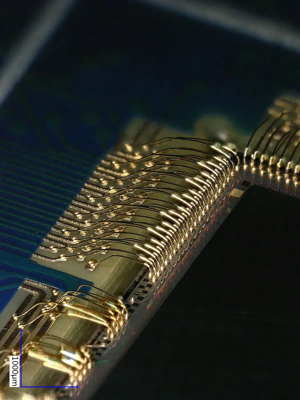 Macro of gold ball-bond wires from die to board — Heisler Semiconductor