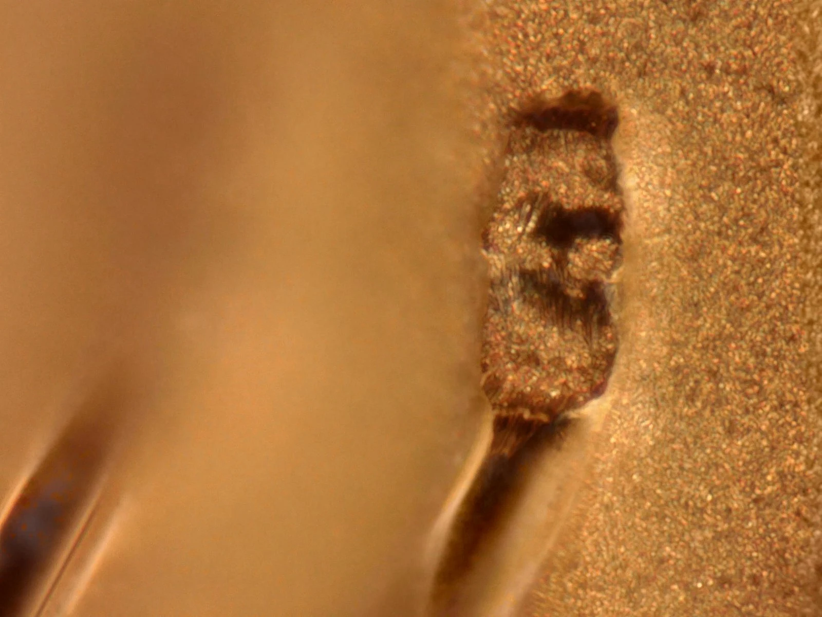 Wire-bond fracture macro from destructive pull testing — Heisler Semiconductor